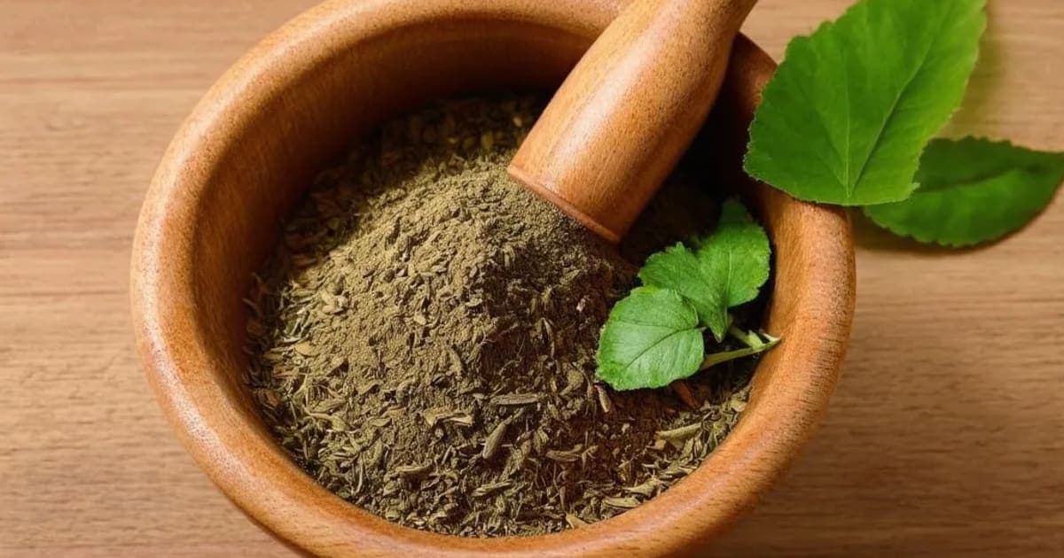 Amrita — Ayurvedic Herb