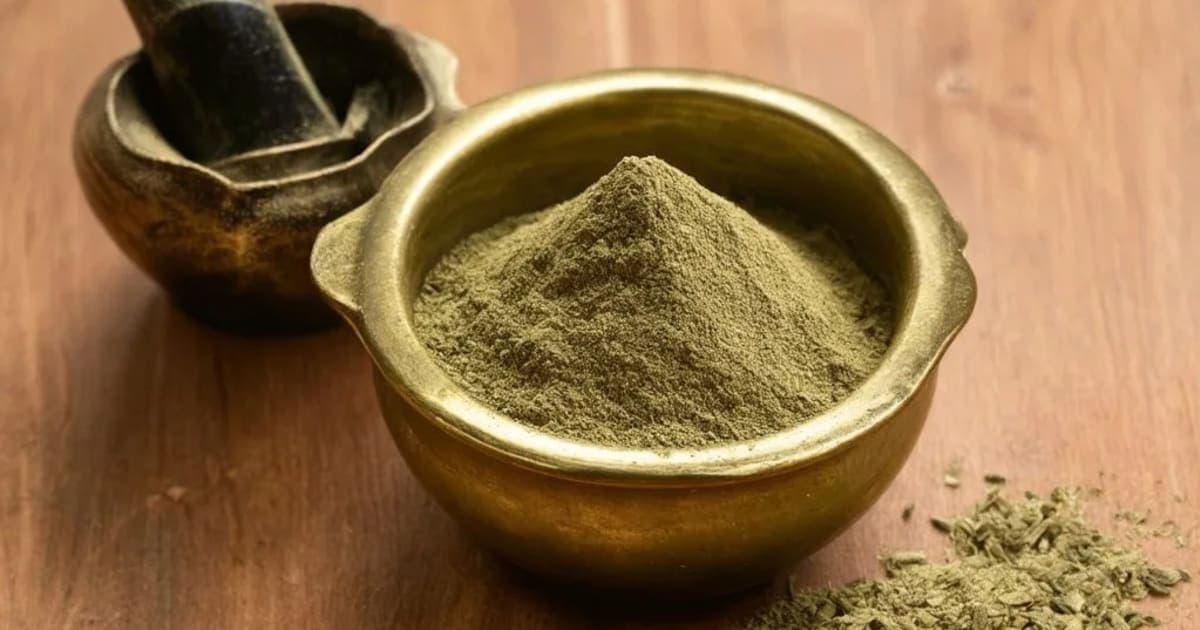 Kasis Bhasma — Ayurvedic Herb
