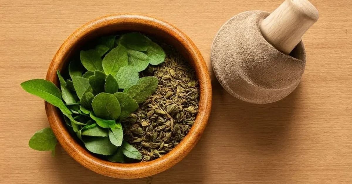 Manikya Pishti — Ayurvedic Herb