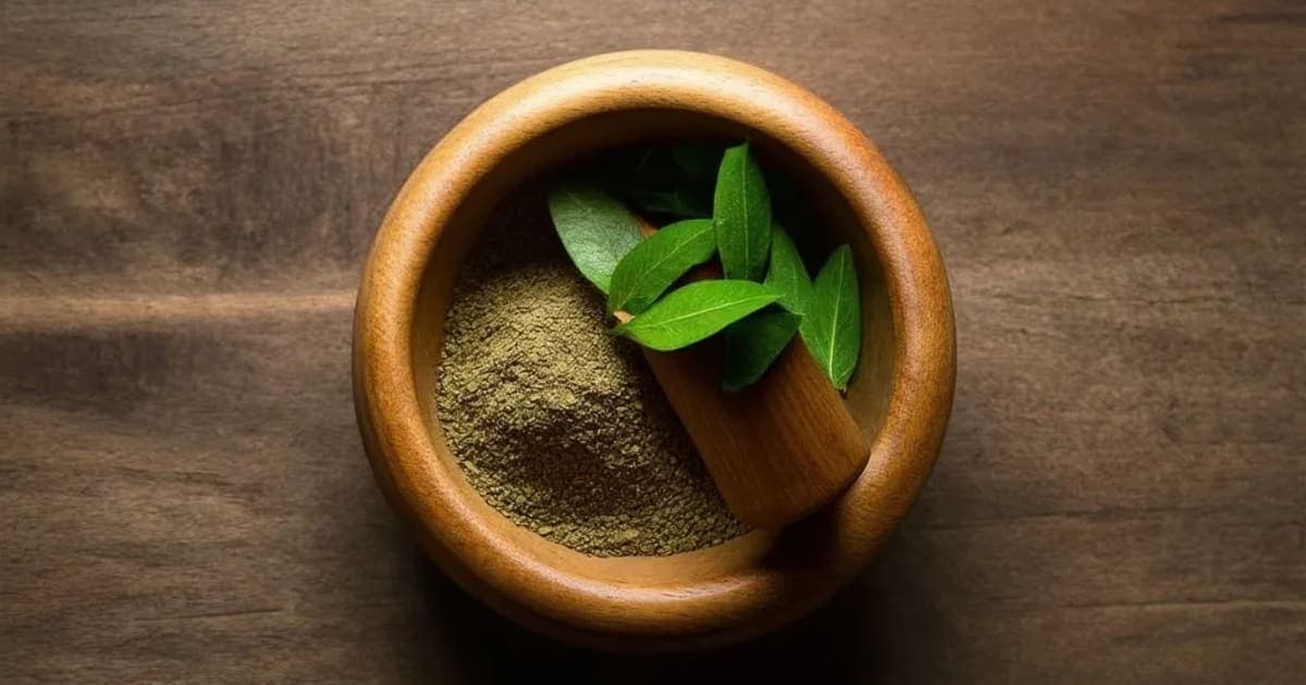 Badara (Jujube) — Ayurvedic Herb