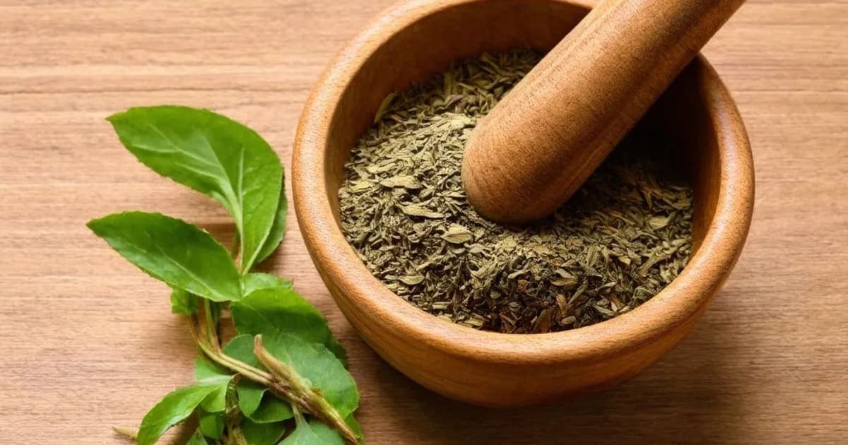 Pravala Pishti — Ayurvedic Herb