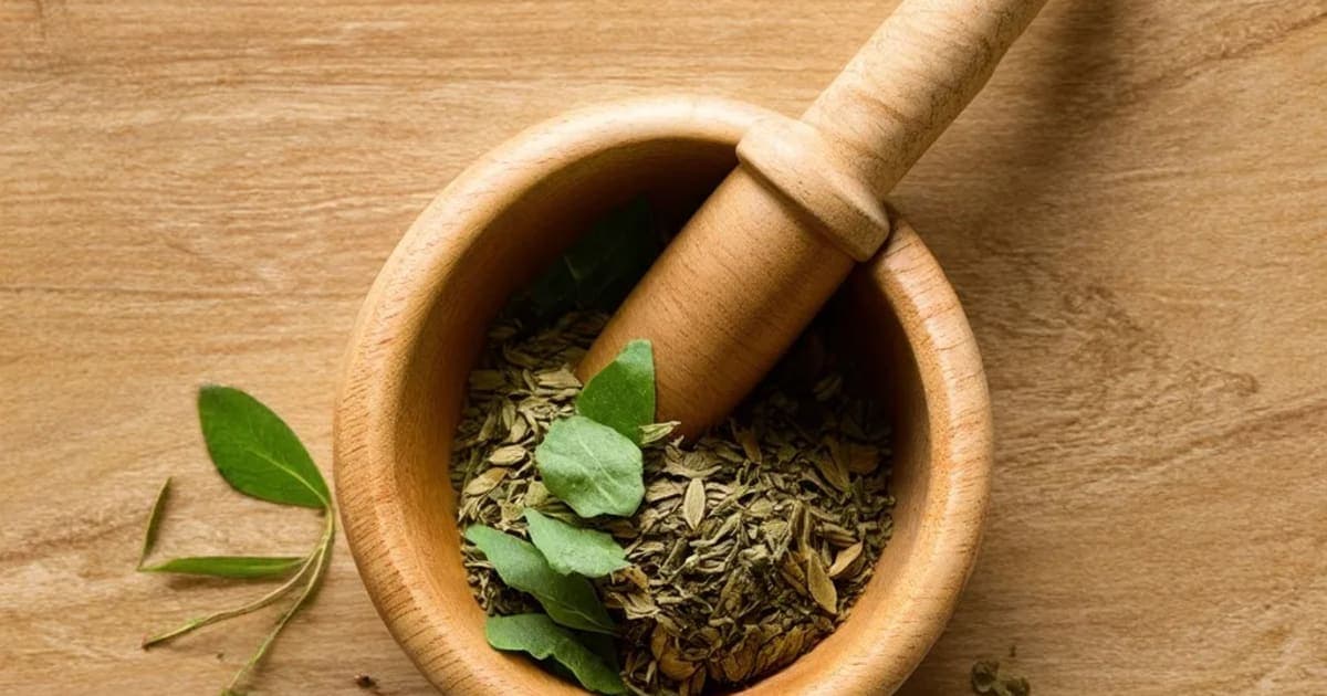 Padmaka — Ayurvedic Herb