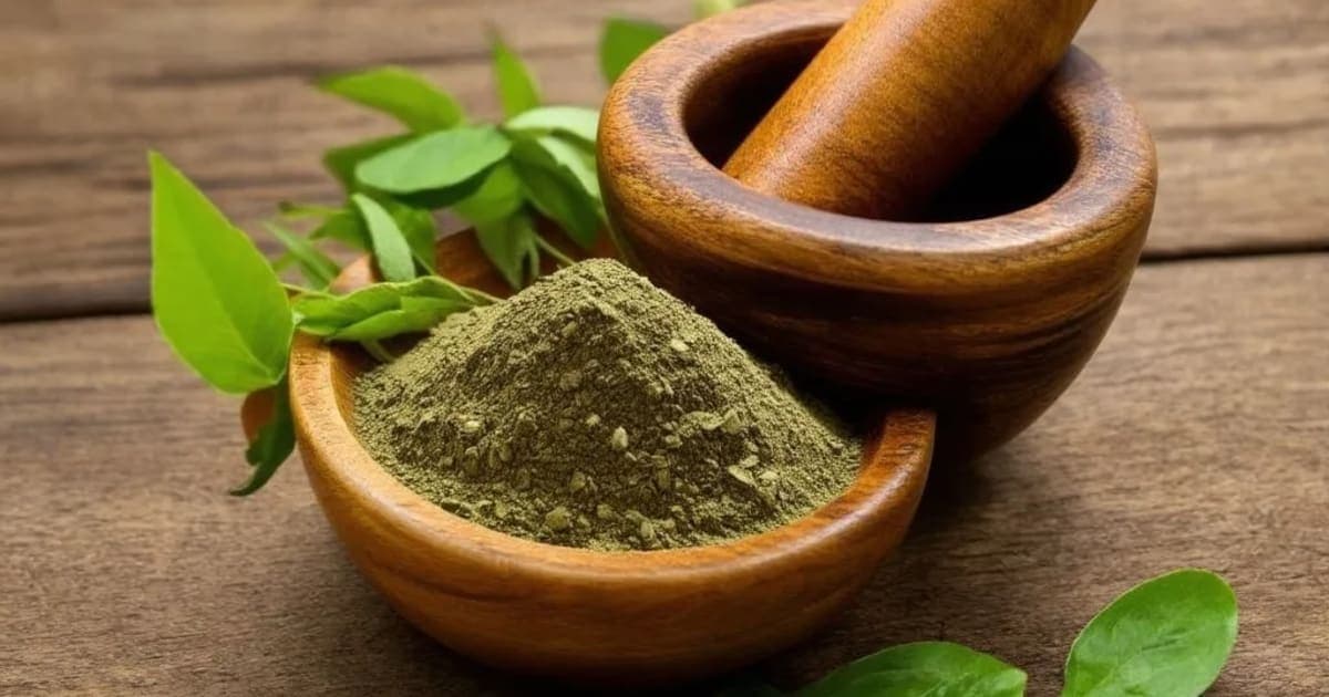 Vrikshamla Phala — Ayurvedic Herb