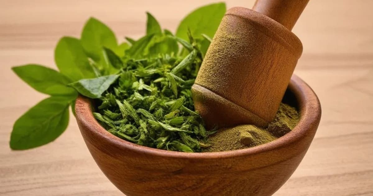 Mudga (Green Gram) — Ayurvedic Herb