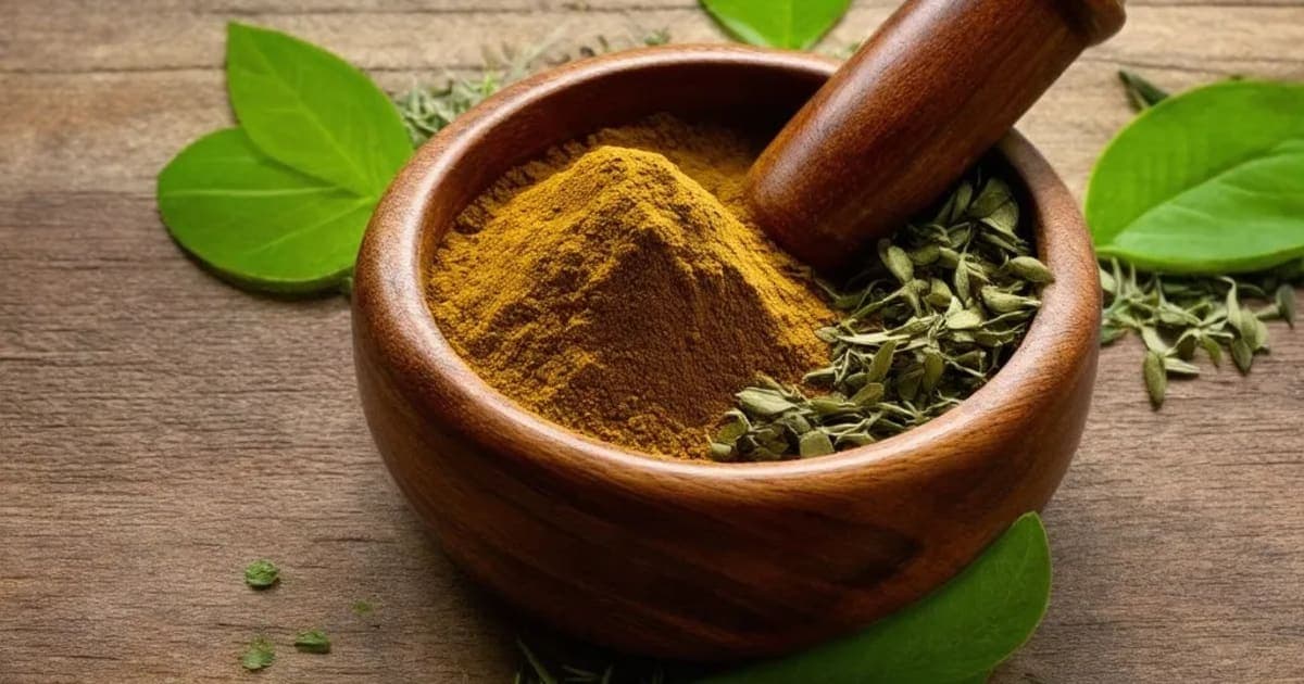 Patha — Ayurvedic Herb