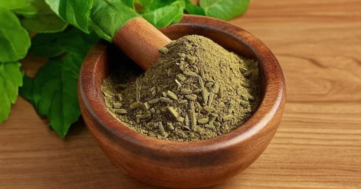 Chitrak — Ayurvedic Herb