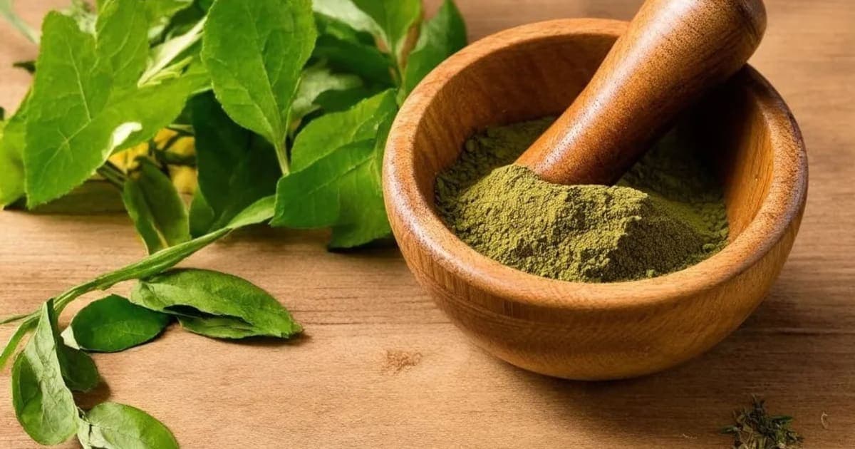 Kusumbha (Safflower) — Ayurvedic Herb