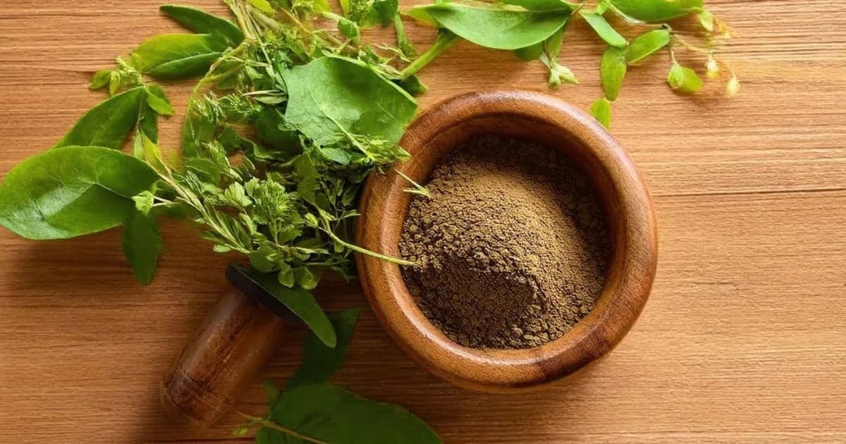 Ashoka Ghrita — Ayurvedic Herb