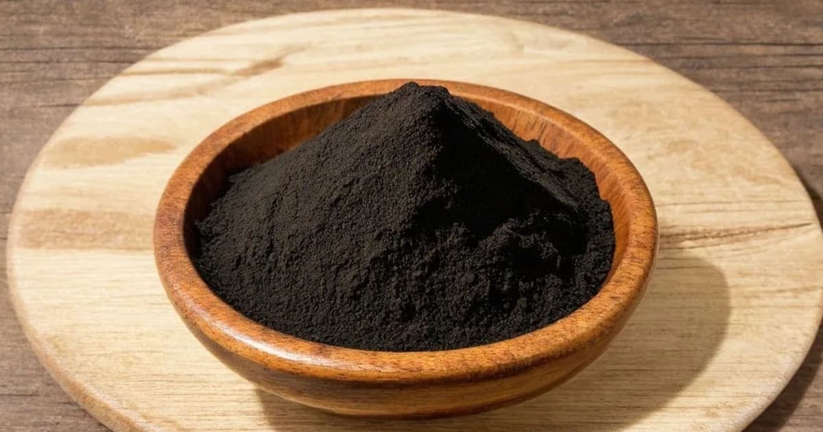 Shilajit Benefits — Ayurvedic Herb