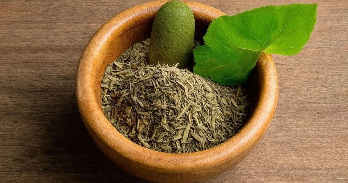 ಜಲಪಿಪ್ಪಲಿ — ಆಯುರ್ವೇದ ಮೂಲಿಕೆ