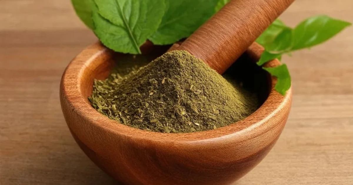 असन — आयुर्वेदिक जड़ी-बूटी