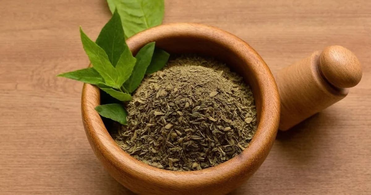 கேடகி பூவின் நன்மைகள் — ஆயுர்வேத மூலிகை