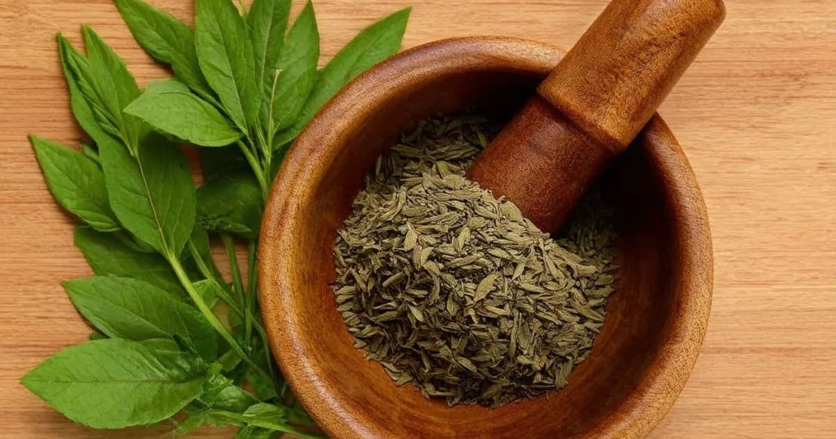 مہا نارائن تیل — آیورویدک جڑی بوٹی