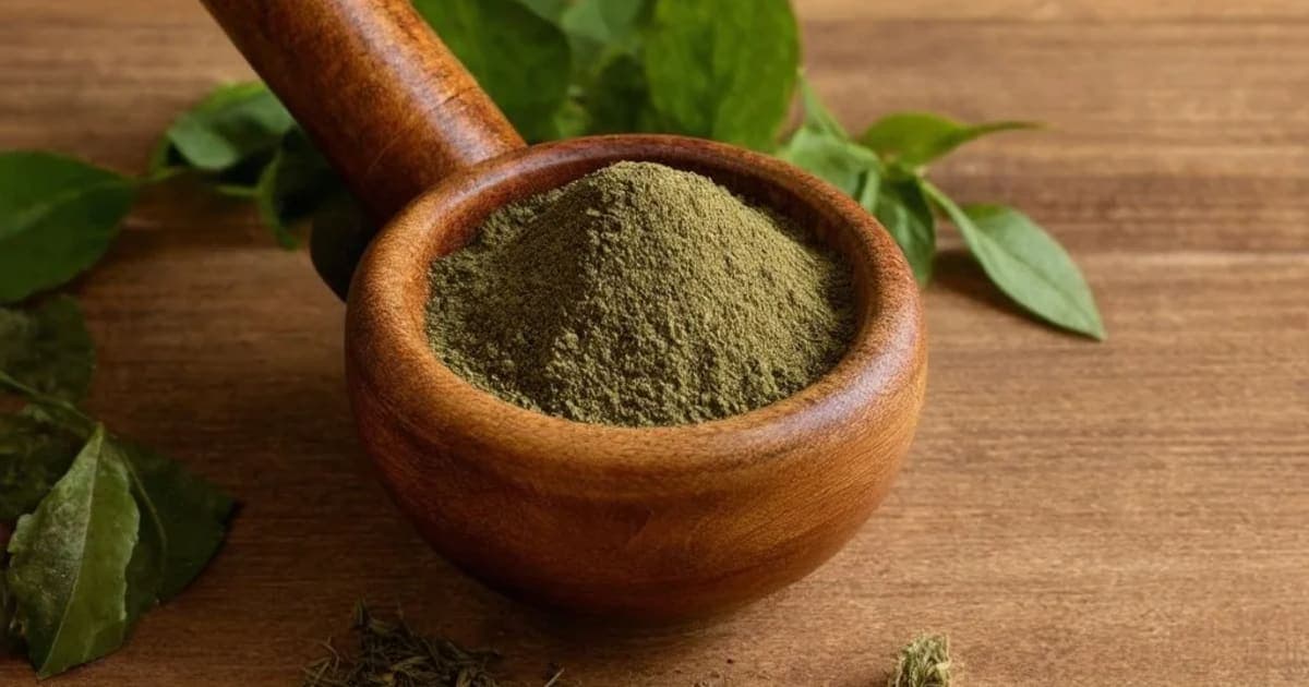 குதப்பகுதி புண்ணும் மூலவாதமும் — ஆயுர்வேத மூலிகை