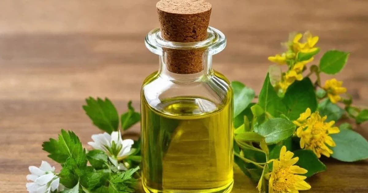 ਕੁਸੁਮਭ ਤੇਲ — ਆਯੁਰਵੈਦਿਕ ਜੜੀ-ਬੂਟੀ