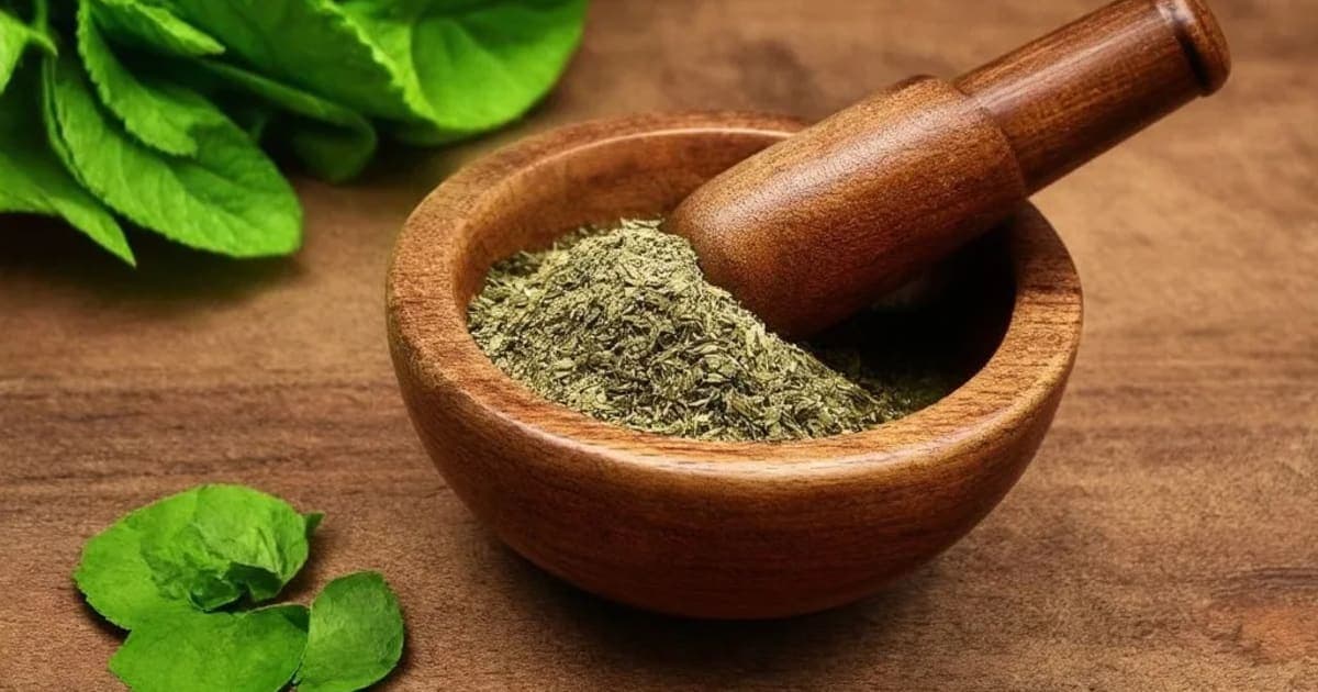 धात्री लौह — आयुर्वेदिक जड़ी-बूटी