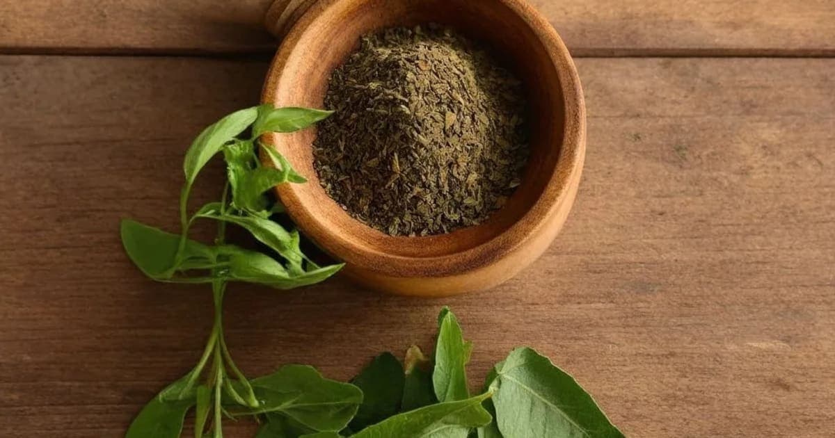 Swarnapatri (સોનાપત્રી) ના ફાયદા — આયુર્વેદિક જડીબુટ્ટી