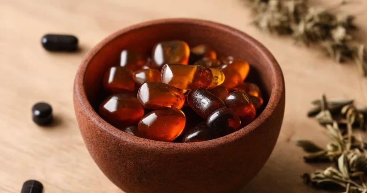 त्रिफला गुग्गुलु — आयुर्वेदिक जड़ी-बूटी