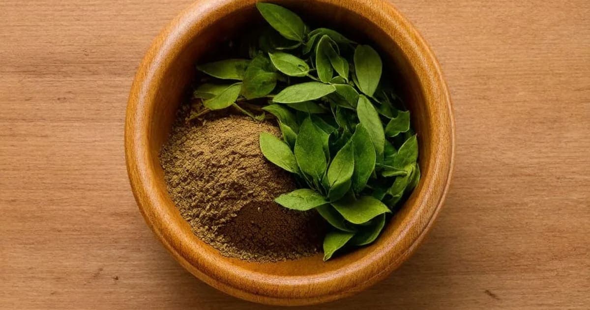 ಧನ್ಯಾಕದ (ಕೊತ್ತಂಬರಿ) ಪ್ರಯೋಜನಗಳು — ಆಯುರ್ವೇದ ಮೂಲಿಕೆ