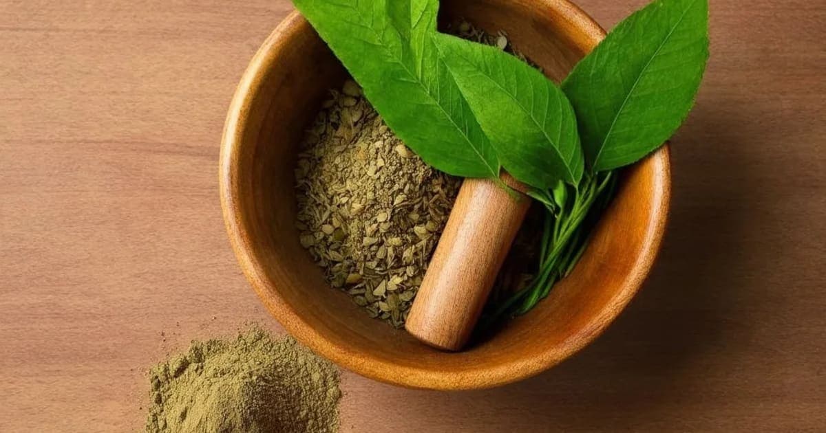 ಕಂಪಿಲಕ — ಆಯುರ್ವೇದ ಮೂಲಿಕೆ