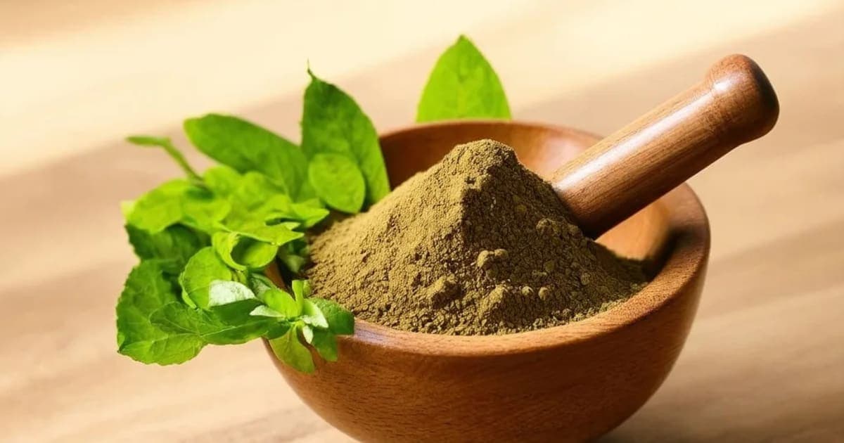 کیلا پھول (کدلی پھول) — آیورویدک جڑی بوٹی