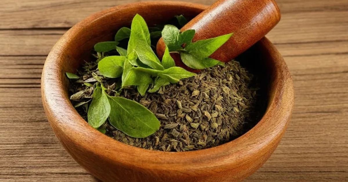 சந்திரசுரம் (கேரட் விதை) — ஆயுர்வேத மூலிகை