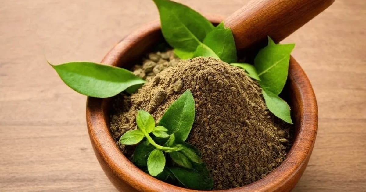 வியாக்ரி ஹரீதகி — ஆயுர்வேத மூலிகை