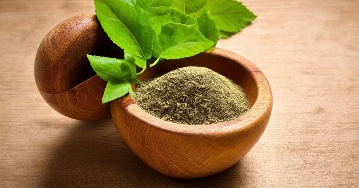 سبھگیا سونٹھ — آیورویدک جڑی بوٹی