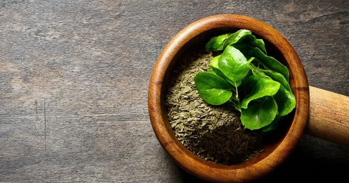 कर्पास-अस्थ्यादि तैलम — आयुर्वेदिक जड़ी-बूटी