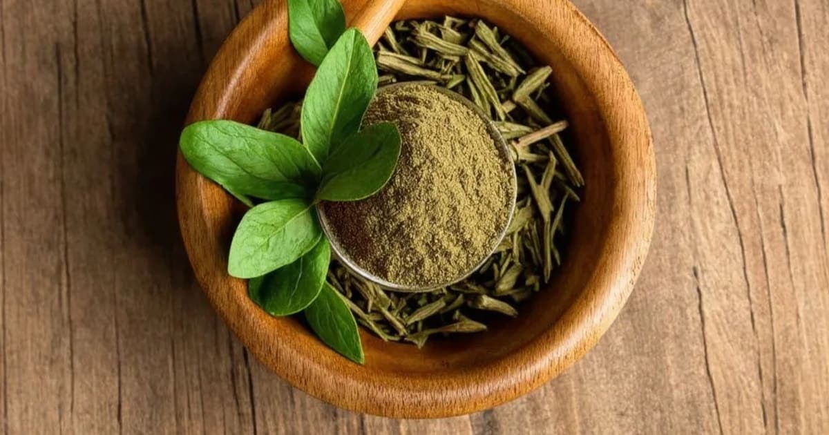 लता कस्तुरीचे फायदे — आयुर्वेदिक वनस्पती