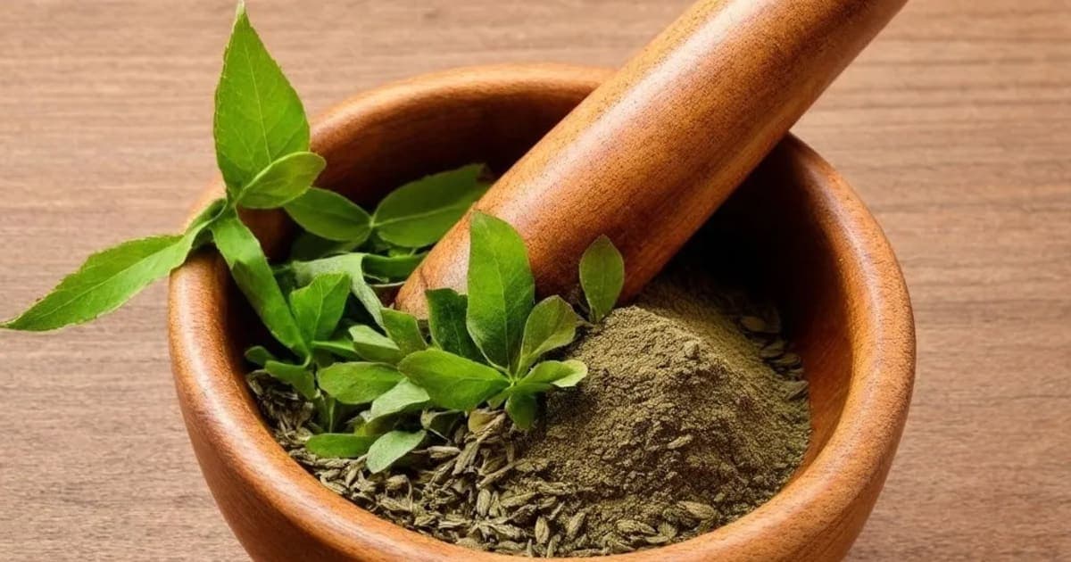 स्नुही — आयुर्वेदिक जड़ी-बूटी