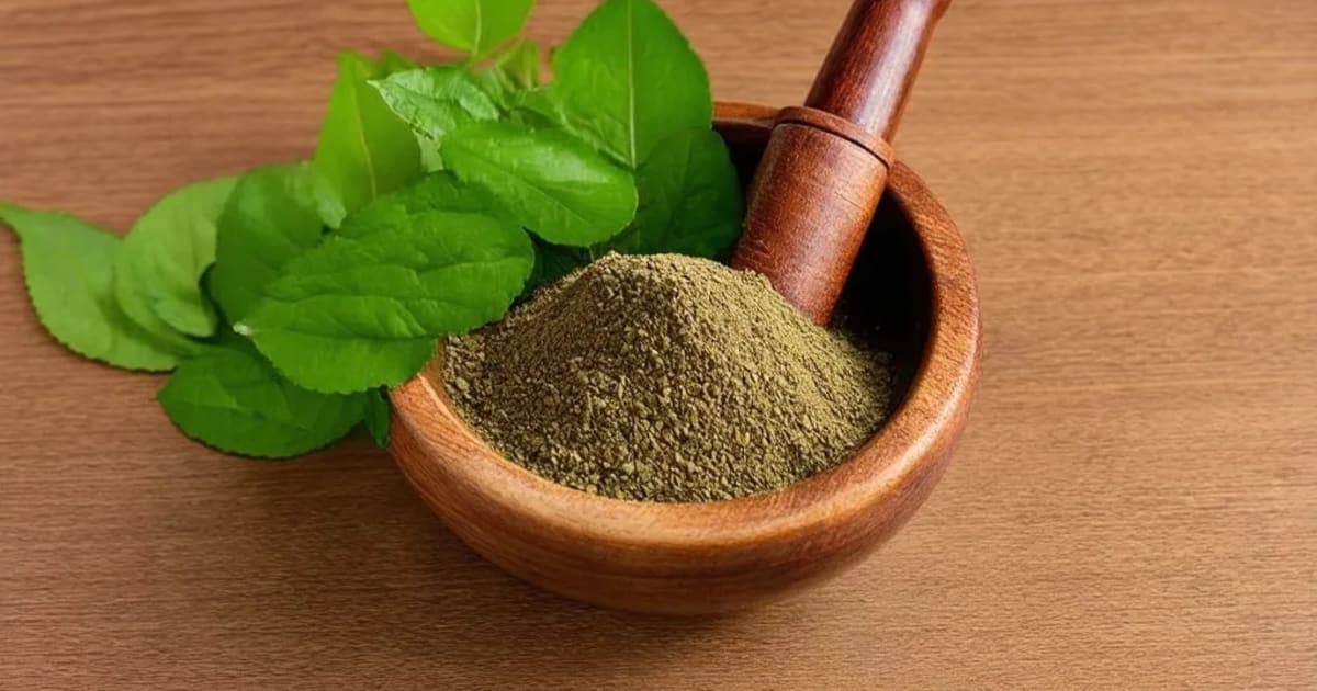 ధన్వంతరం తైలం ప్రయోజనాలు — ఆయుర్వేద మూలిక