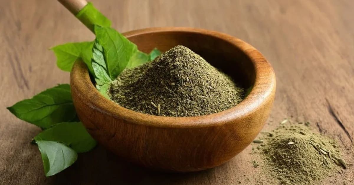 Agnijara — आयुर्वेदिक जड़ी-बूटी