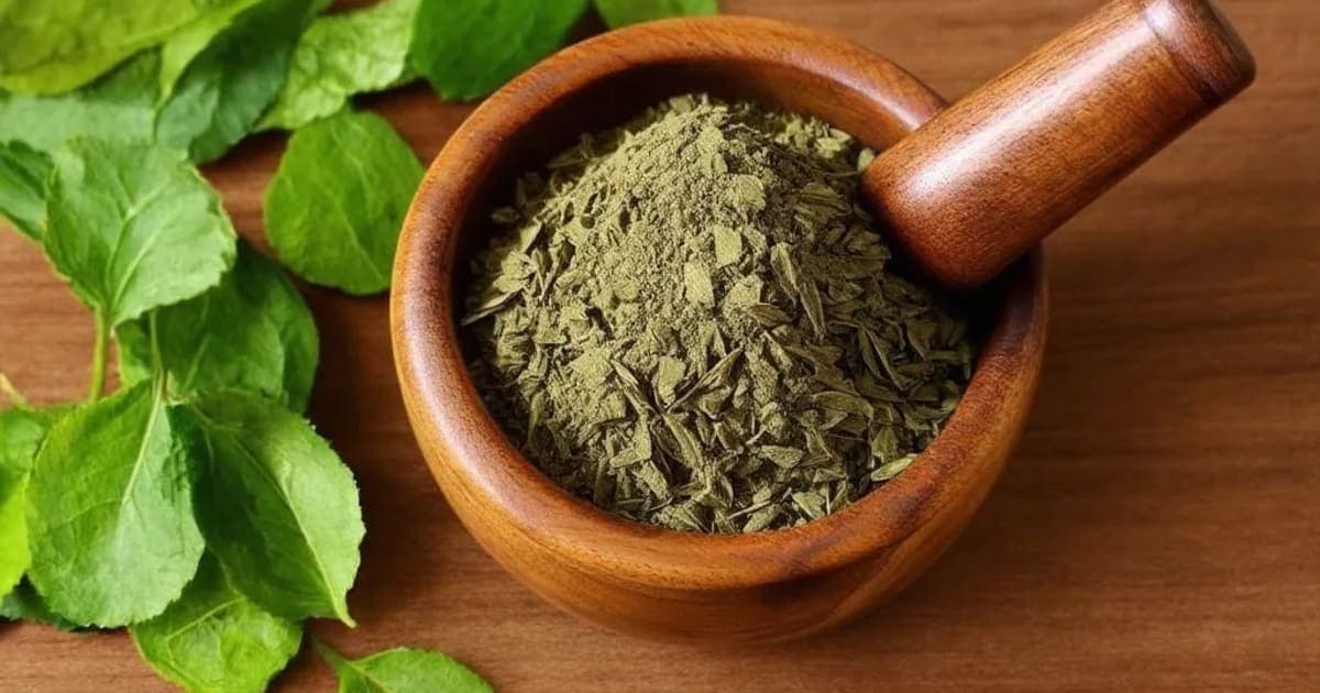 ਰਾਜਿਕਾ (ਮੁਰੀ) ਦੇ ਫਾਇਦੇ — ਆਯੁਰਵੈਦਿਕ ਜੜੀ-ਬੂਟੀ