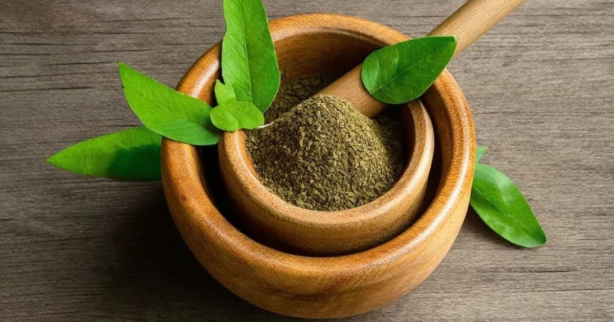 തിണ്ടുക്ക (തെക്ക) — ആയുർവേദ ഔഷധം