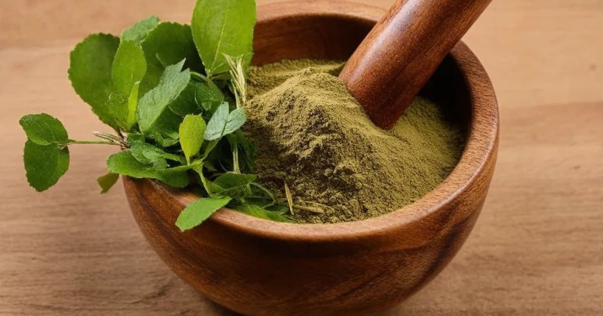 Koshataki — Ayurvedic Herb