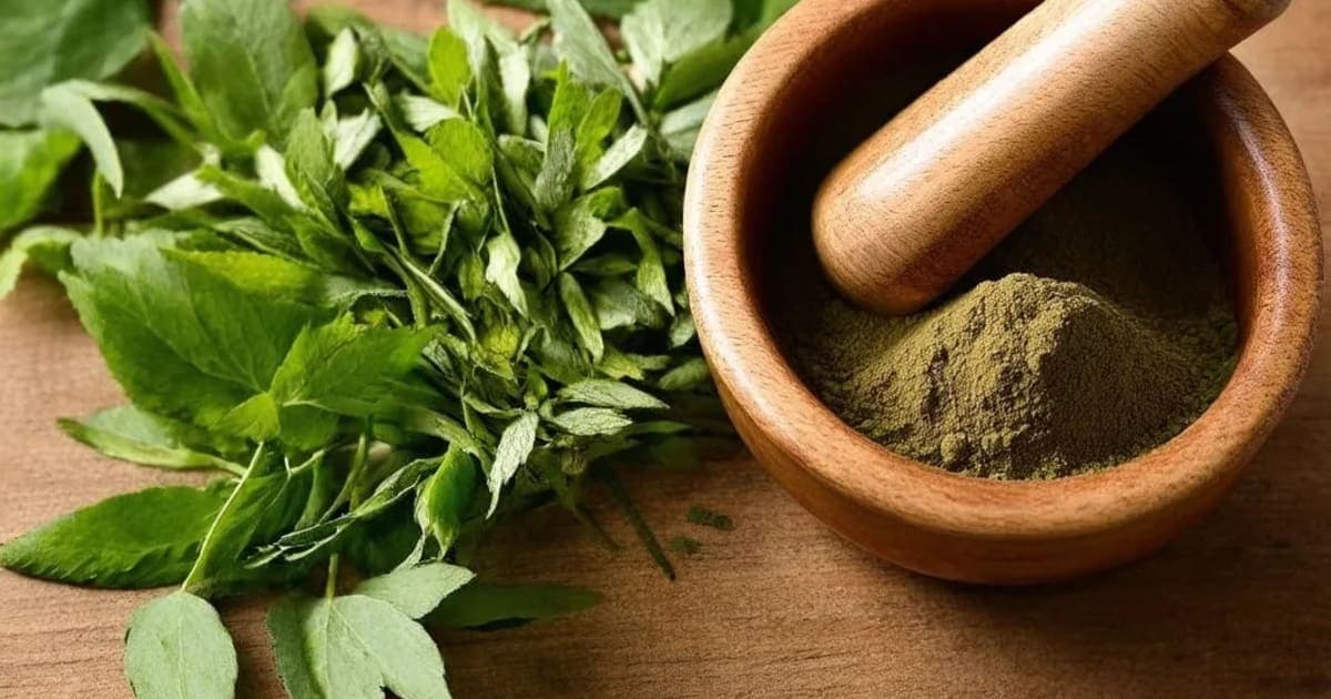 Patala — Ayurvedic Herb