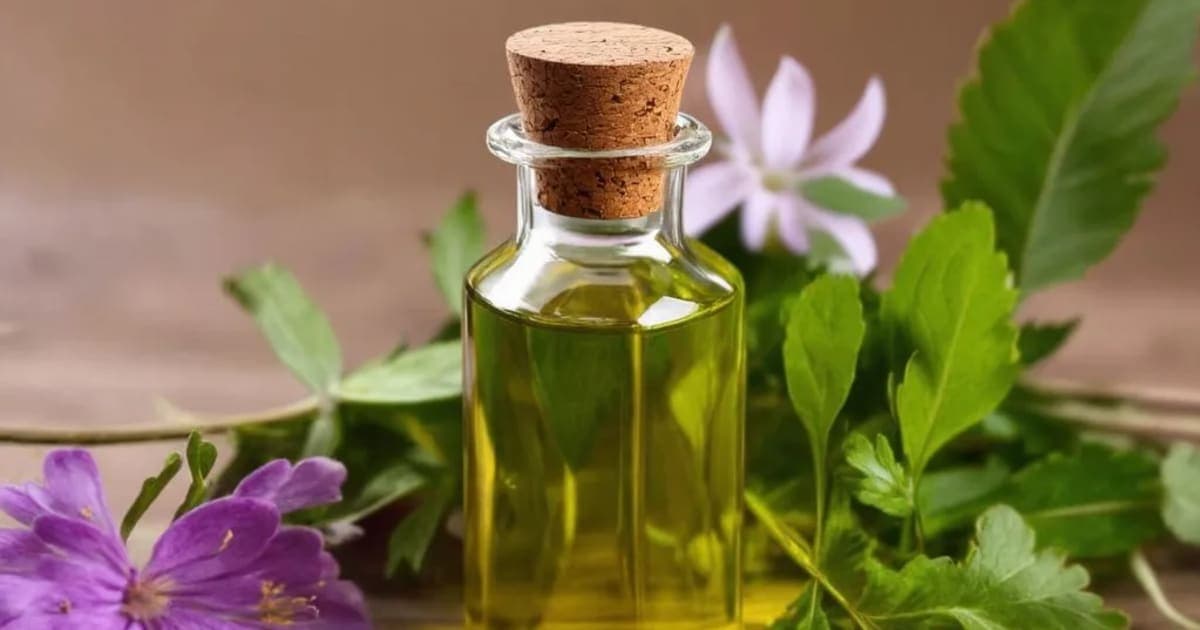 Somaraji Taila — Ayurvedic Herb