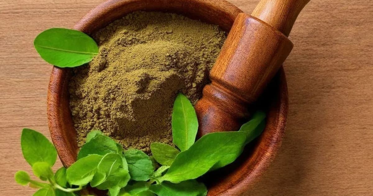 Chandrashura — Ayurvedic Herb