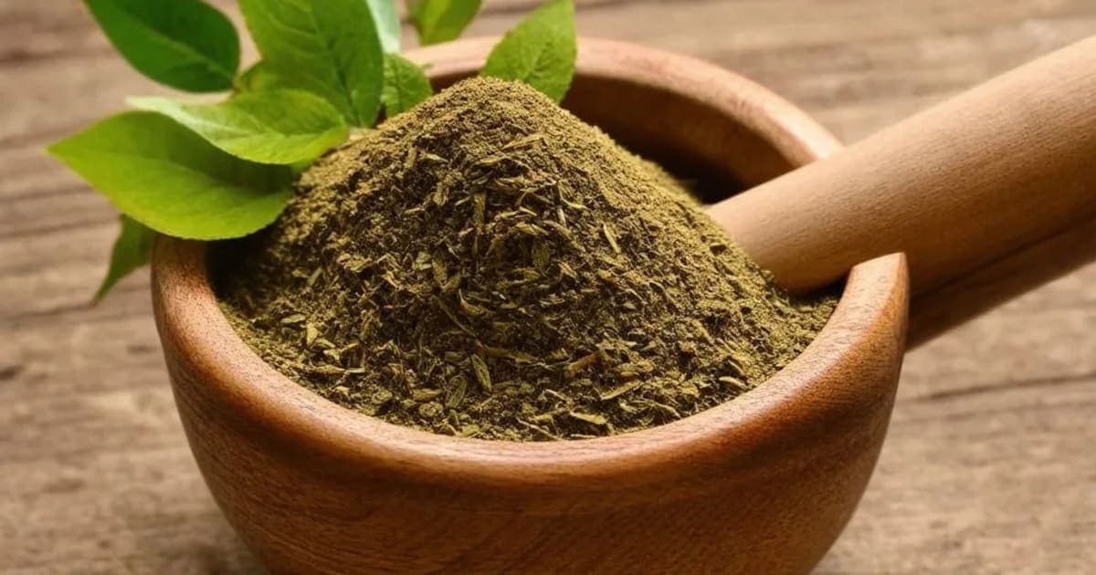 Gojihva — Ayurvedic Herb