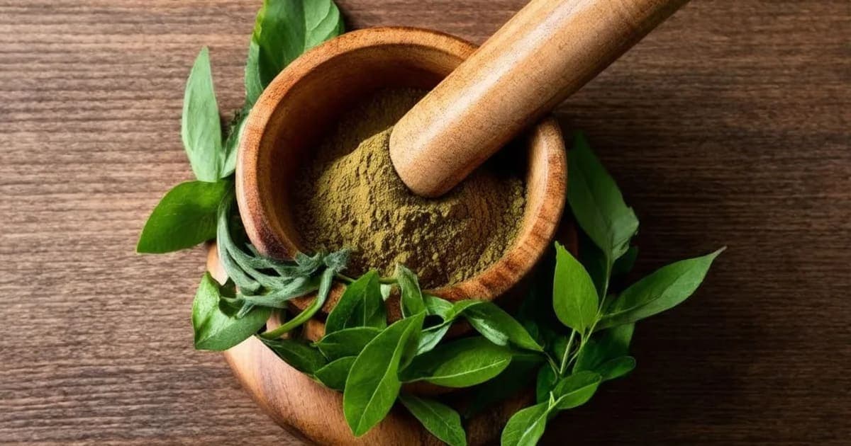 Lata Kasturi — Ayurvedic Herb