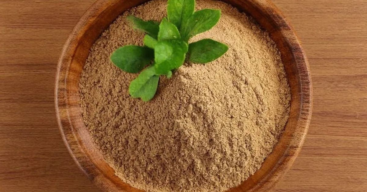 Ardraka (Fresh Ginger) — Ayurvedic Herb