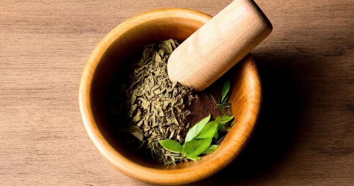 Priyangu — Ayurvedic Herb