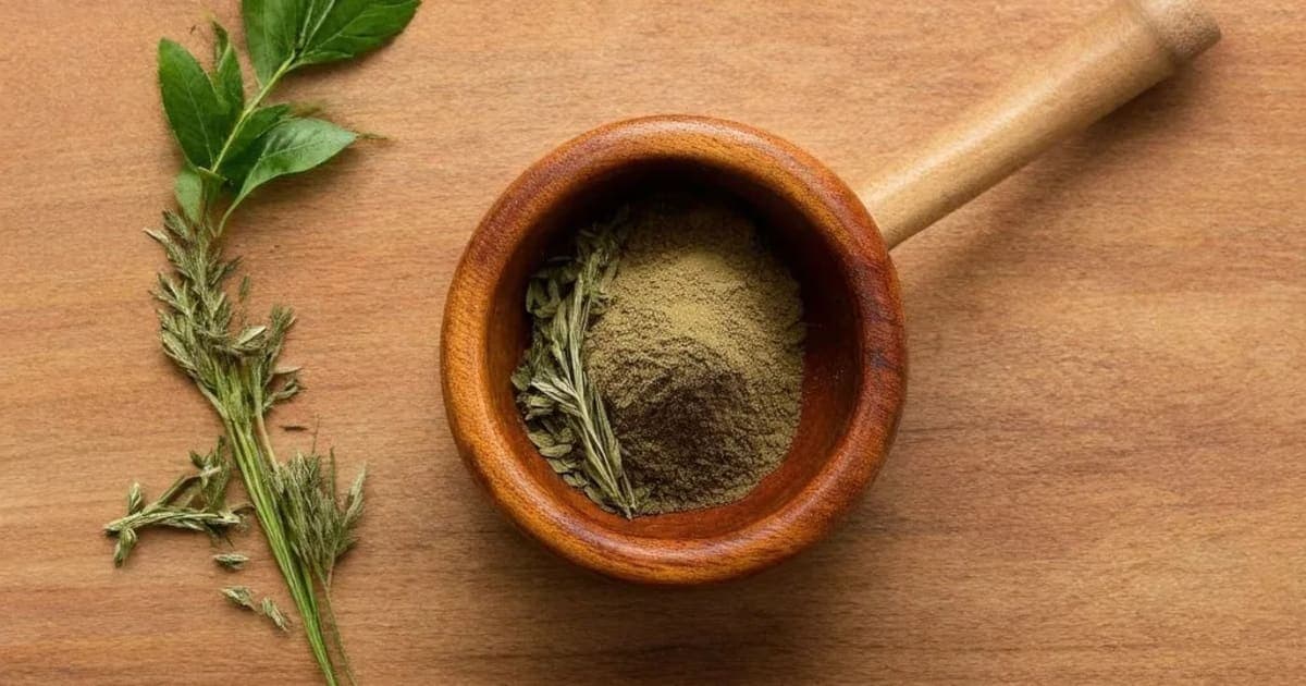 Langali Benefits — Ayurvedic Herb