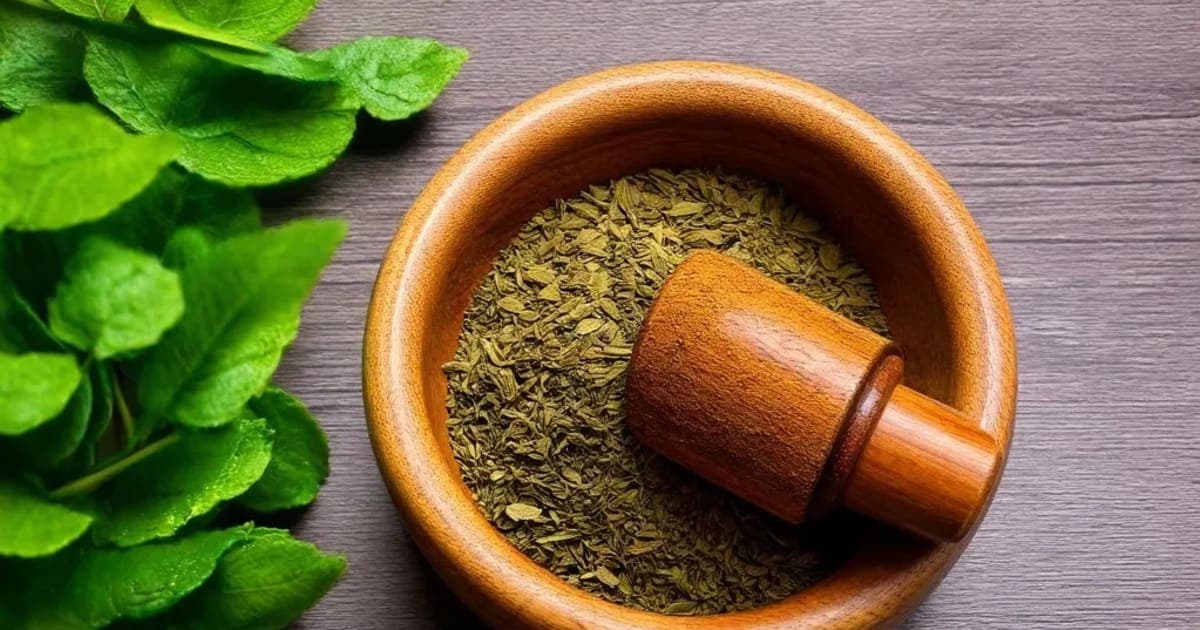 Saindhava Lavana — Ayurvedic Herb