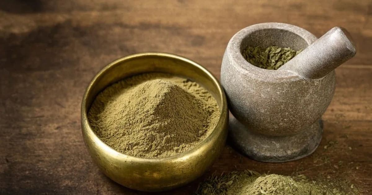 Shankha Bhasma — Ayurvedic Herb