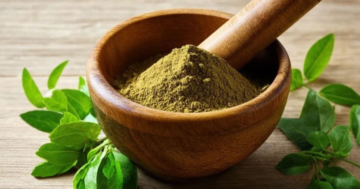 Chakragaja — Ayurvedic Herb