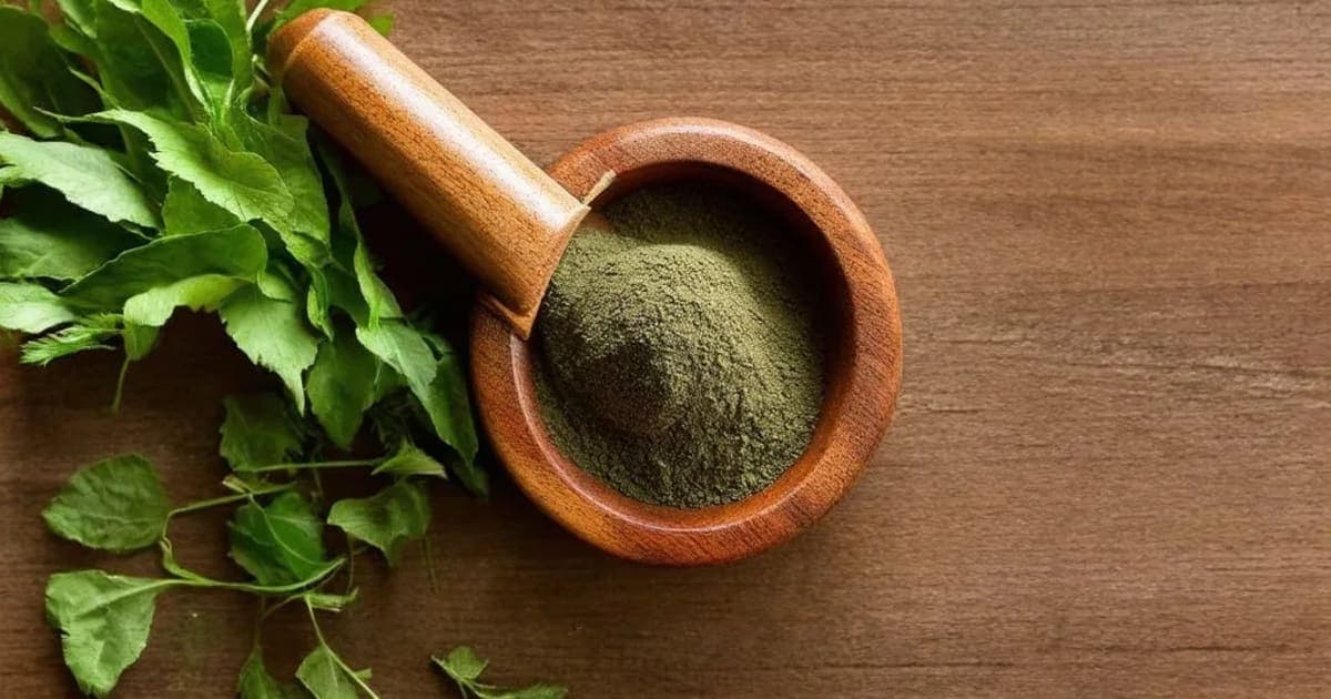 Kamalakanda — Ayurvedic Herb