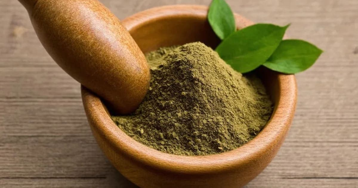 Saptaparna — Ayurvedic Herb