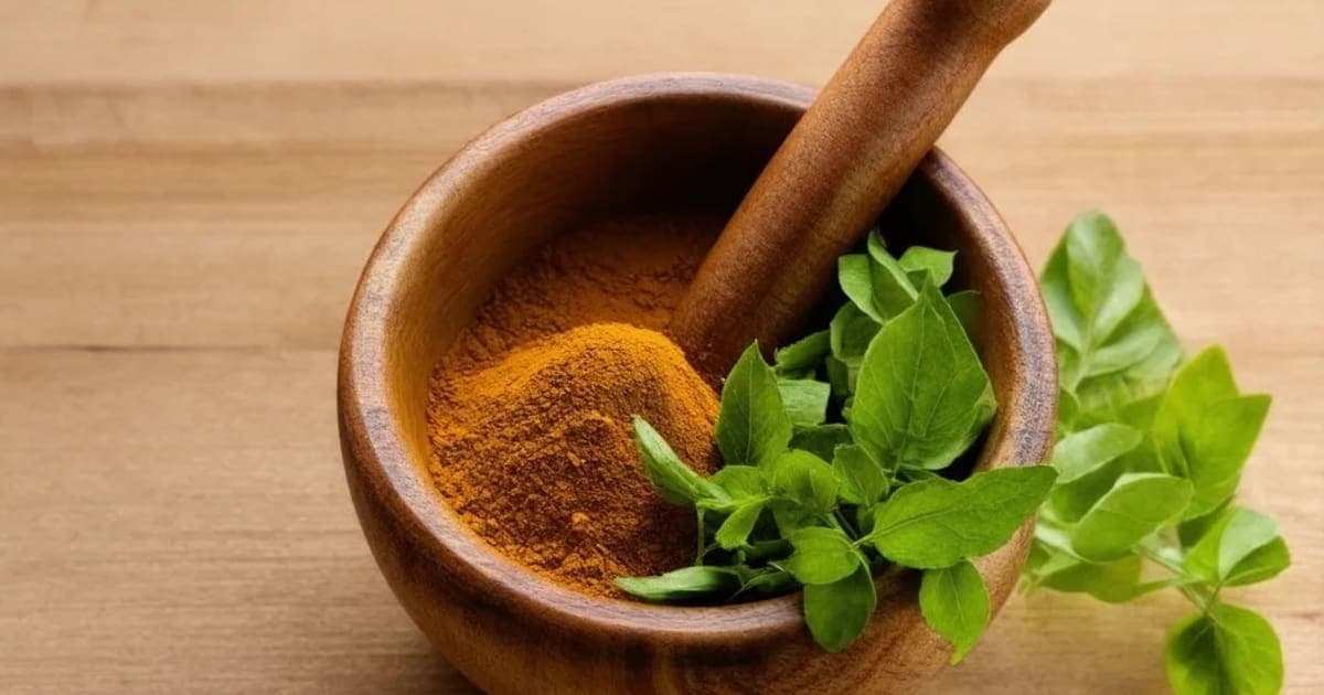 Talisapatra — Ayurvedic Herb